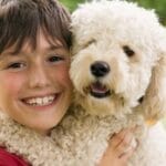 Aspectos clave de ansiedad por separación en perros