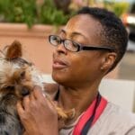 Consejos para obesidad en perros