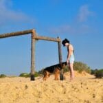 Todo sobre lenguaje corporal en perros