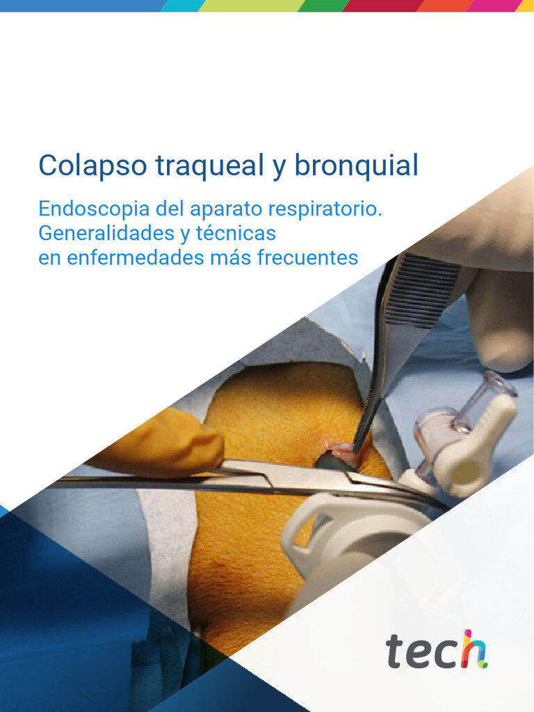 ¿Qué Hacer si Sospechas Colapso Traqueal?