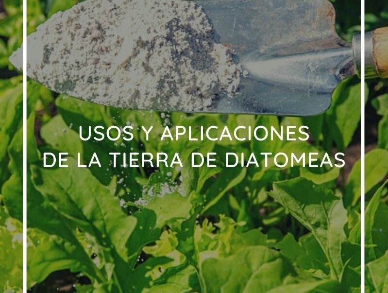 <strong>Ventajas de la tierra de diatomeas frente a otros métodos