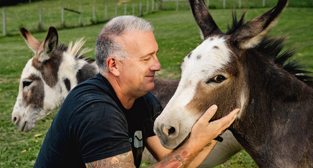 Bienestar animal y nuevas opciones frente al dolor crónico burro