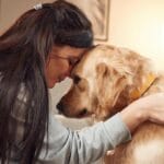 Bienestar animal y nuevas opciones frente al dolor crónico