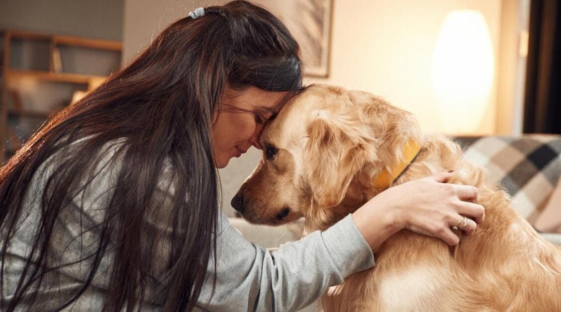 Bienestar animal y nuevas opciones frente al dolor crónico