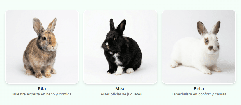 Todo para conejos en un solo lugar