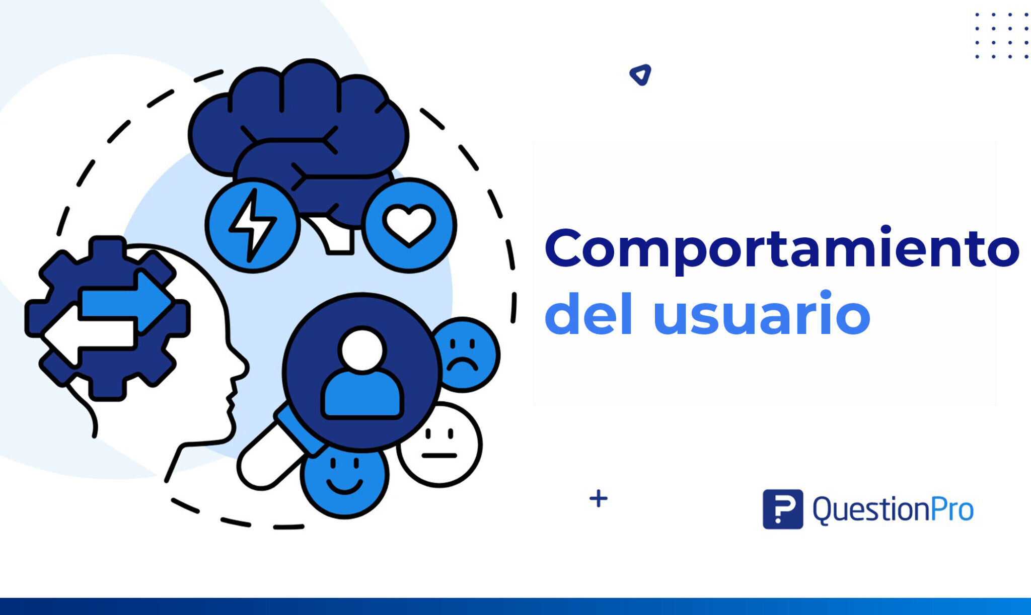 <strong>Funcionalidades pensadas para el usuario: comodidad y participación