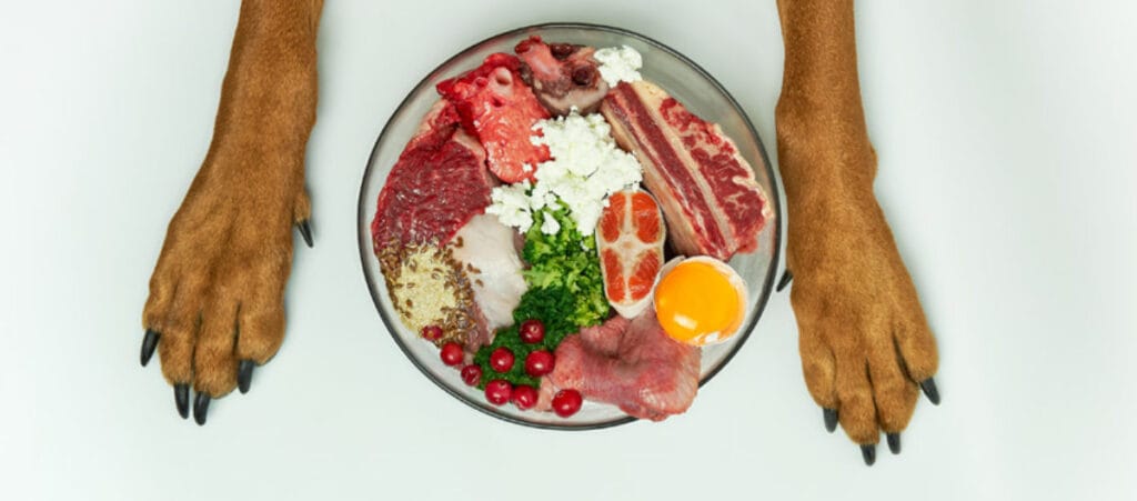 Dieta BARF salud para tu mascota