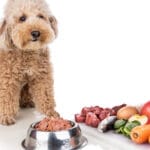 Dieta BARF: menos problemas de salud para tu mascota