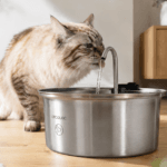 Por qué una fuente automática de agua puede marcar la diferencia en la salud de tu gato
