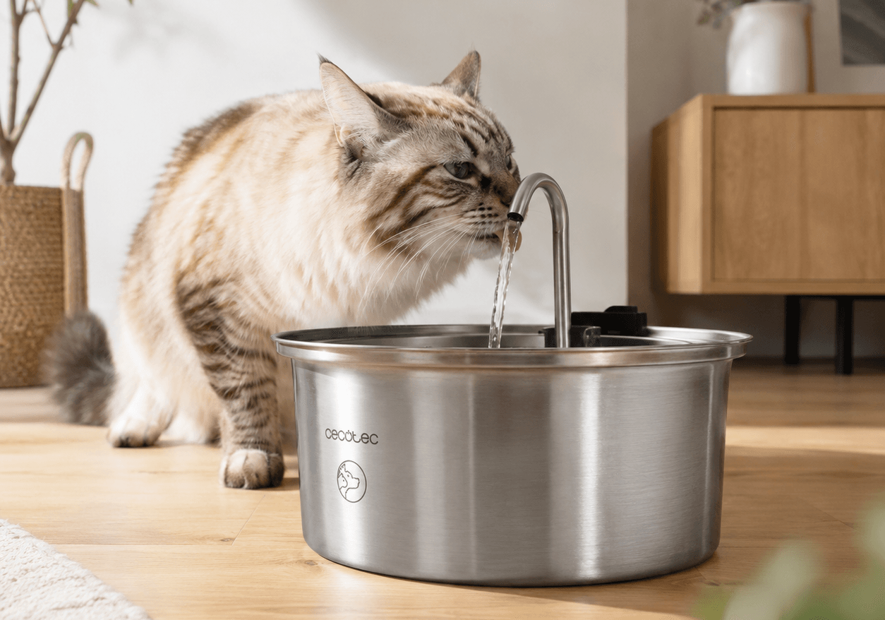 Por qué una fuente automática de agua puede marcar la diferencia en la salud de tu gato
