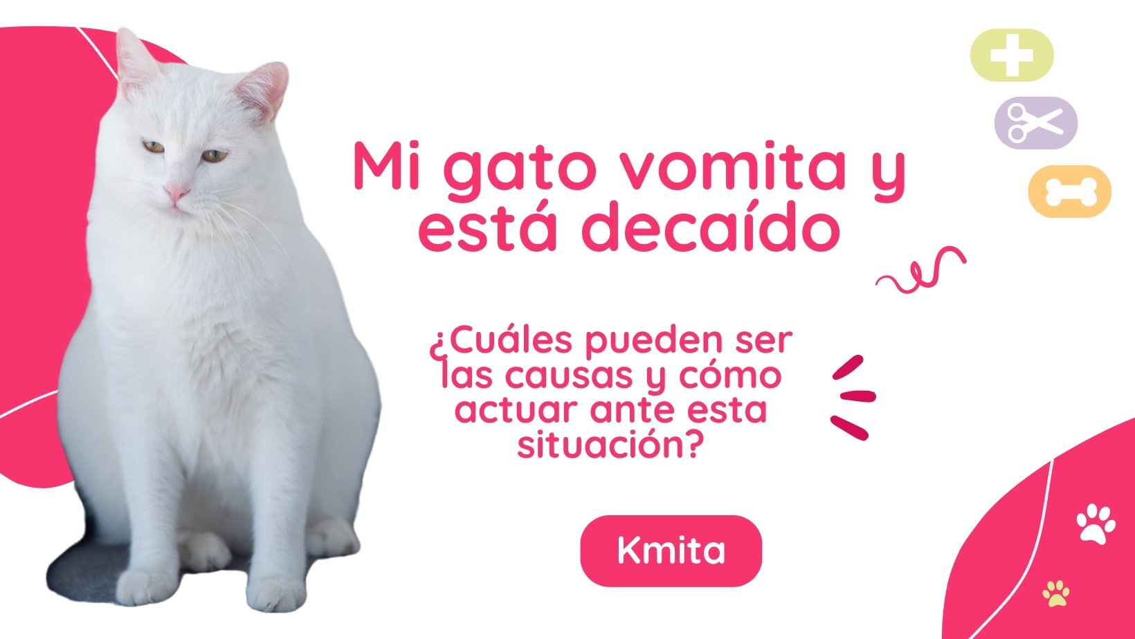 ¿Por Qué Mi Gato Vomita Verde? Entendiendo la Causa