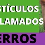 Torsión Testicular en Perros: Reconoce los Síntomas y Actúa Rápido