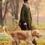 Debilidad en Patas Traseras de Perros: Señales de Alarma Urgentes