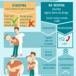 Emergencia Respiratoria en Mascotas: Qué Hacer Ante Dificultad Extrema para Respirar