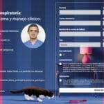 Gato con Dificultad Extrema para Moverse: Qué Hacer Inmediatamente