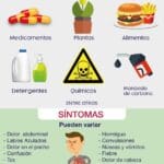Intoxicación Alimentaria en Mascotas: Qué Hacer Ante los Primeros Signos