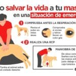 Señales de Infección Grave en Perros: ¡Actúa Rápido para Salvar a tu Mascota!