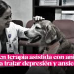 Crisis de Ansiedad Severa en Mascotas: Qué Hacer para Ayudarlas