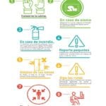 Emergencias por Ingestión de Vidrio en Gatos: Qué Hacer y Cómo Prevenir